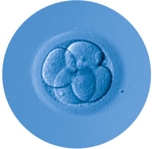 biologia