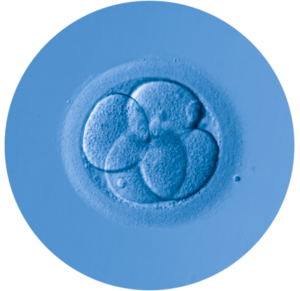 biologia_2