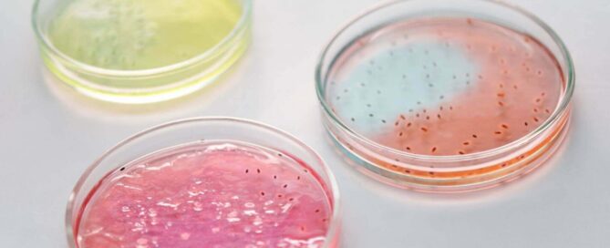 microbiota fertilidad masculina