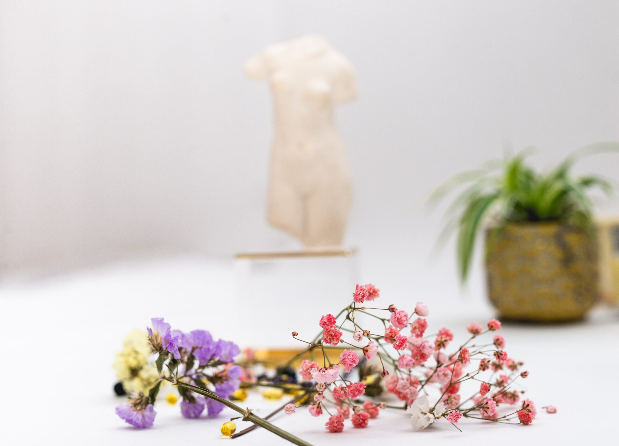 ciclo corto menstrual fertilidad